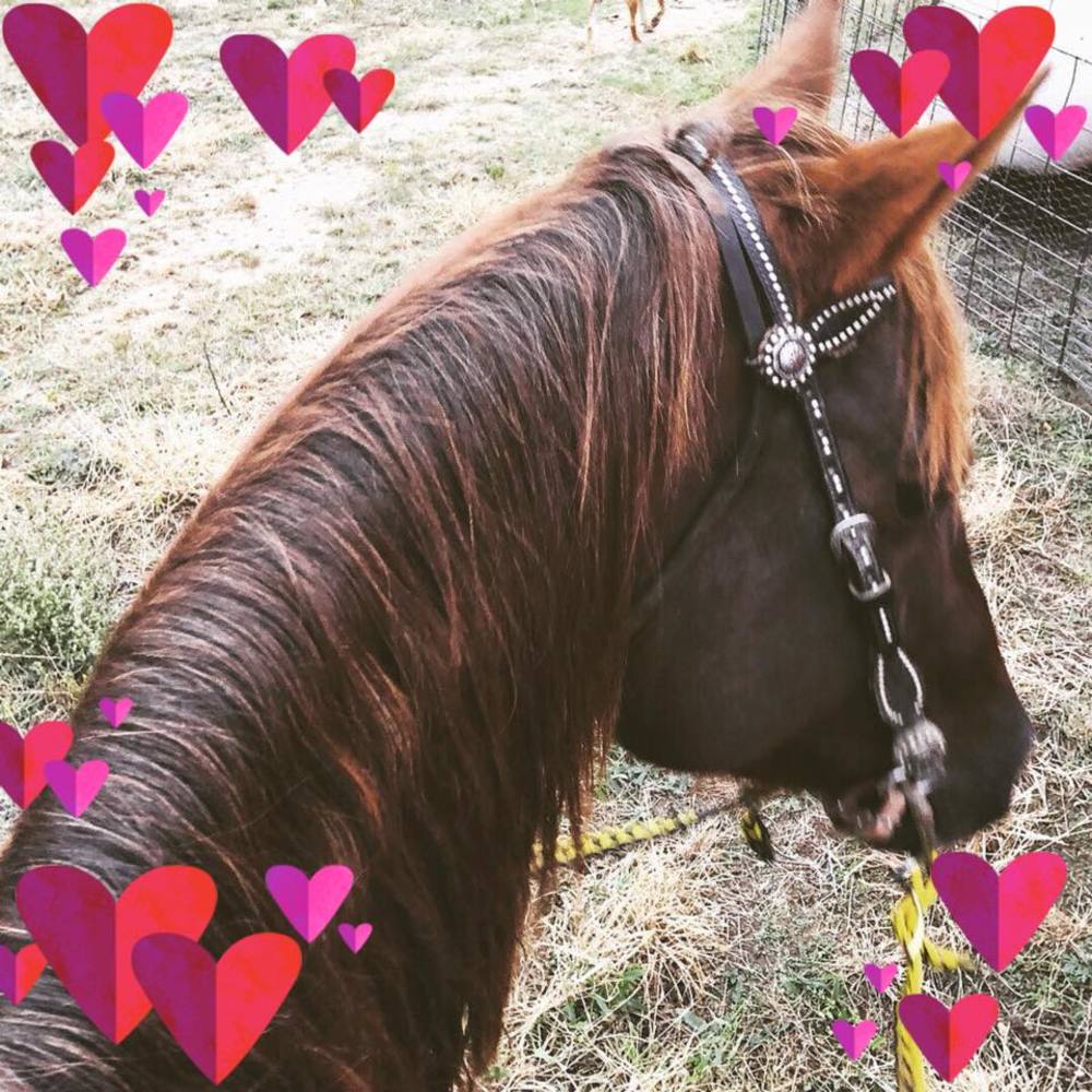 Meet your Posher, Robbie